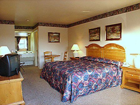 Lakeside Inn & Suites Mathis Chambre photo